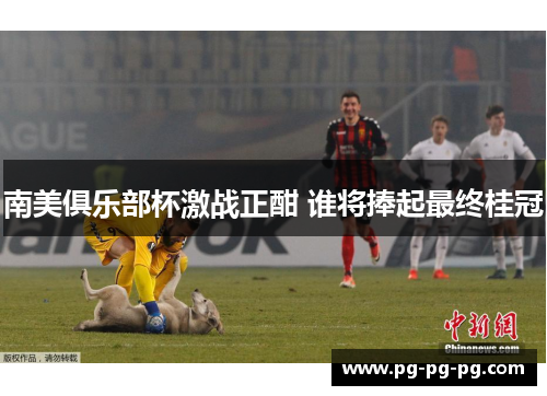 南美俱乐部杯激战正酣 谁将捧起最终桂冠