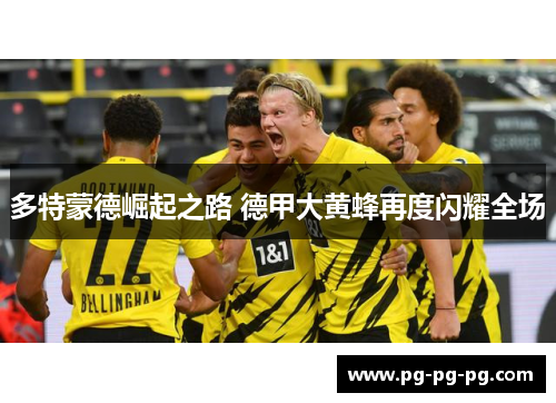 多特蒙德崛起之路 德甲大黄蜂再度闪耀全场